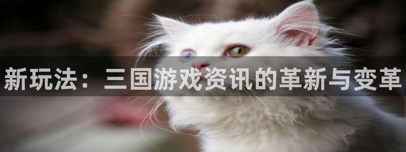 高德娱乐测速：新玩法：三国游戏资讯的革新与变革