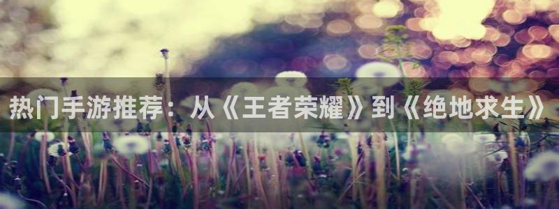 高德娱乐是什么