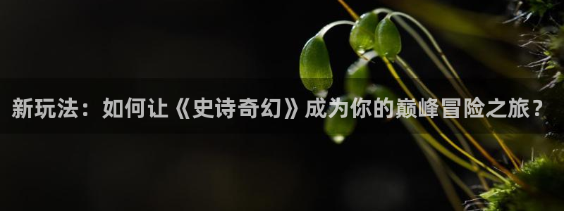 高德娱乐注册测速：新玩法：如何让《史诗奇幻》成为你的巅峰冒险