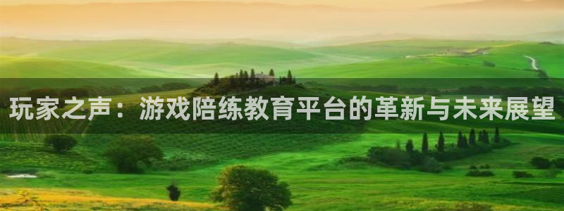 高德娱乐下载：玩家之声：游戏陪练教育平台的革新与未来展望