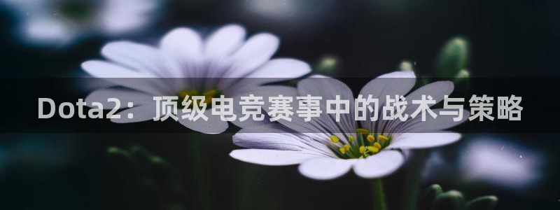 高德娱乐下载链接：Dota2：顶级电竞赛事中的战术与策略