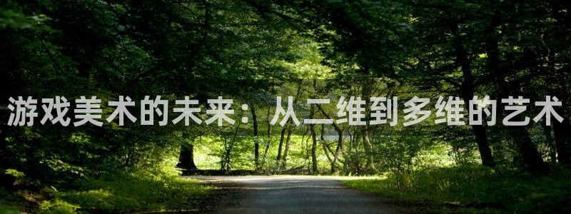 高德娱乐注册平台：游戏美术的未来：从二维到多维的艺术