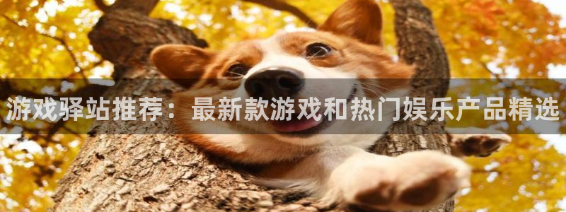 高德娱乐科技