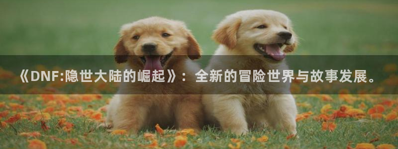 高德娱乐注册平台：《DNF:隐世大陆的崛起》：全新的冒险世界