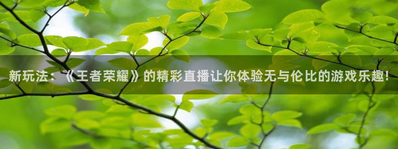 高德娱乐代理登陆：新玩法：《王者荣耀》的精彩直播让你体验无与