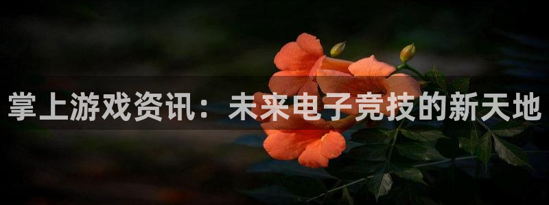 高德娱乐登陆：掌上游戏资讯：未来电子竞技的新天地