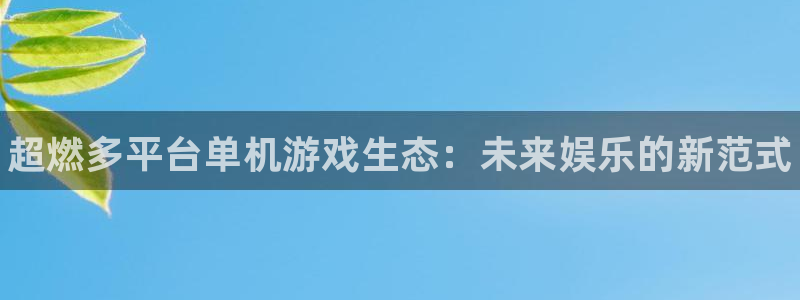高德娱乐官方注册登录：超燃多平台单机游戏生态：未来娱乐的新范