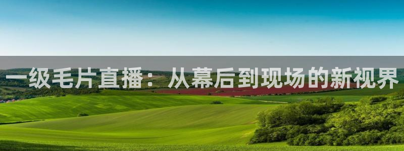 斗球直播免费版：一级毛片直播：从幕后到现场的新视界
