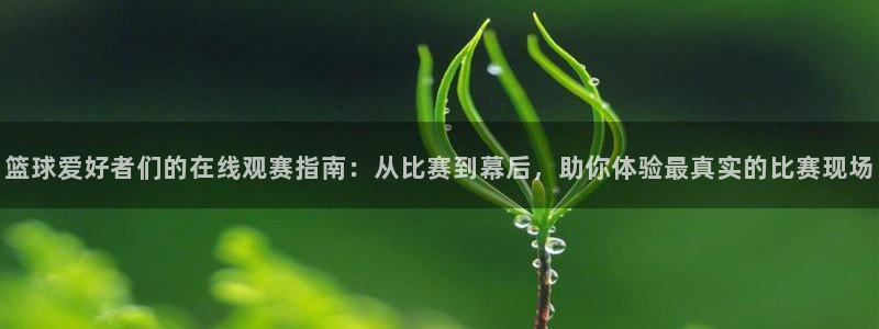 斗球体育直播app下载：篮球爱好者们的在线观赛指南：从比赛到幕后，助你体验最真实的比赛现场