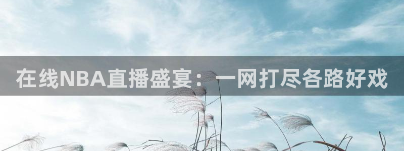 斗球nba直播在线观看免费：在线NBA直播盛宴：一网打尽各路好戏