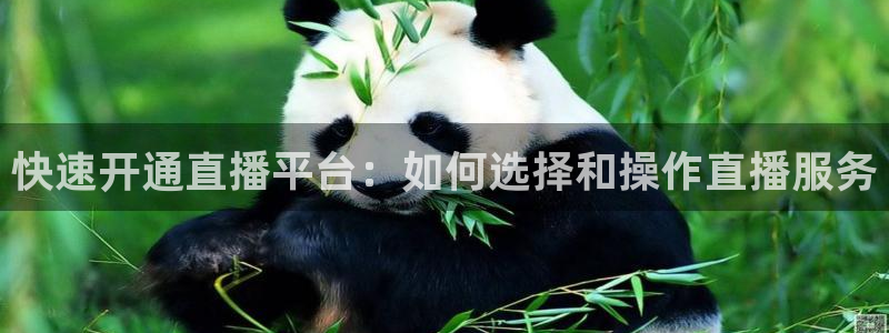 斗球体育官网入口：快速开通直播平台：如何选择和操作直播服务