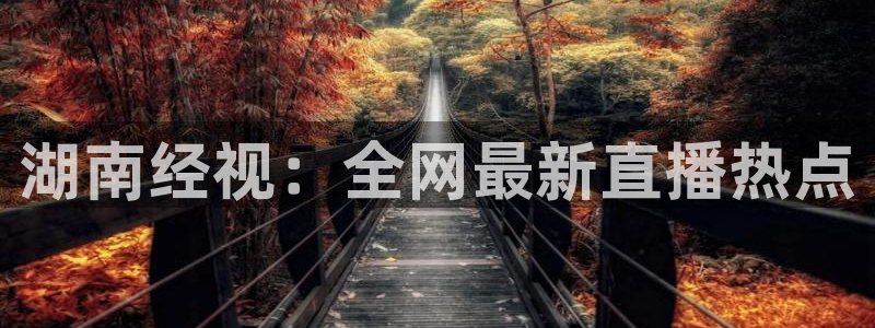 斗球直播app下载最新版：湖南经视：全网最新直播热点