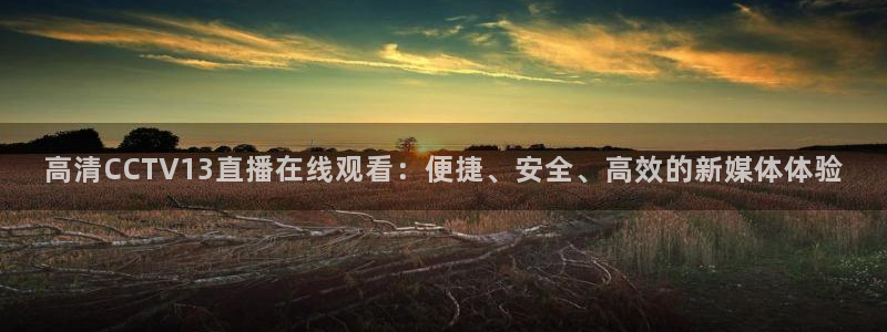 斗球体育下载：高清CCTV13直播在线观看：便捷、安全、高效的新媒体体验