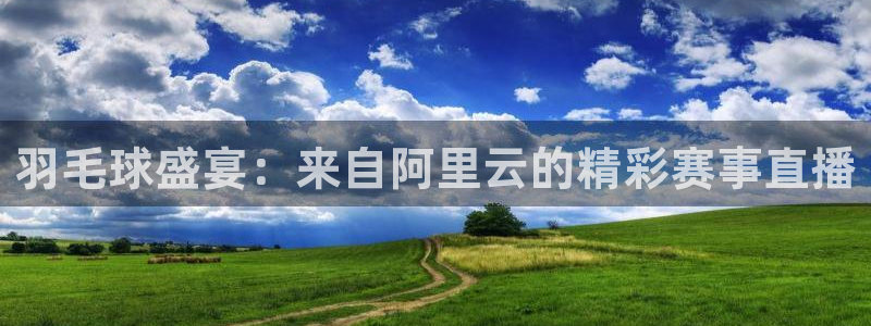 斗球足球直播app下载：羽毛球盛宴：来自阿里云的精彩赛事直播