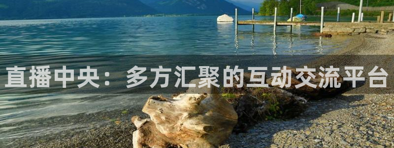 斗球体育直播app下载ios：直播中央：多方汇聚的互动交流平台