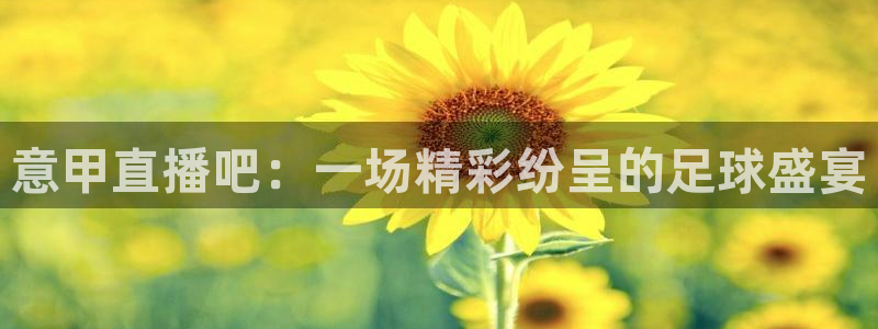 斗球直播极速版：意甲直播吧：一场精彩纷呈的足球盛宴